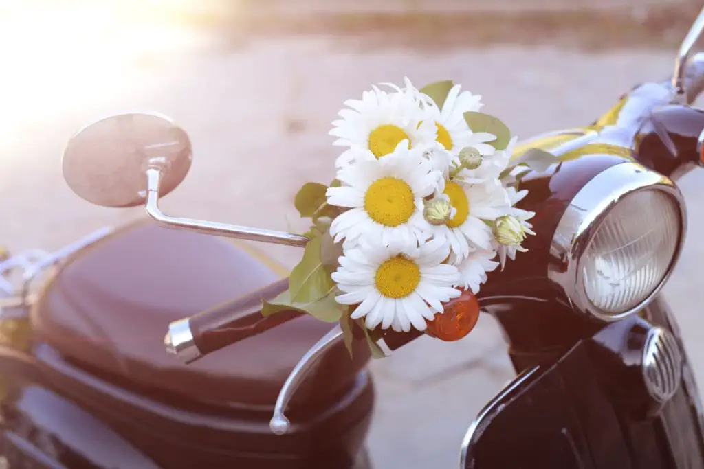 flowers on the handlebars of a vintage 50cc engine scooter