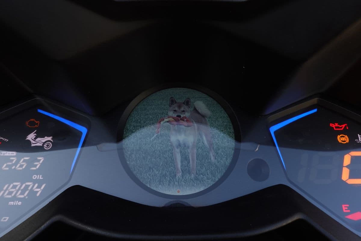 image of dog on customizable part of the AK550's Noodoe system